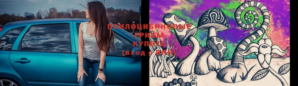 PSILOCYBIN Абинск