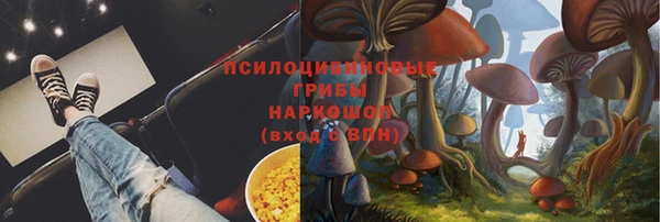 круглые Абаза