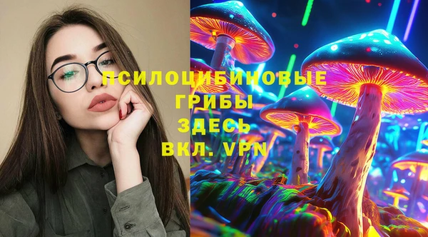 PSILOCYBIN Абинск