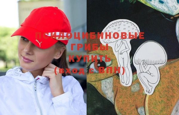 ECSTASY Абдулино