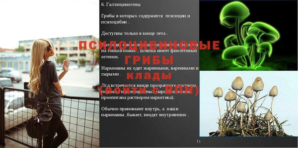 круглые Абаза